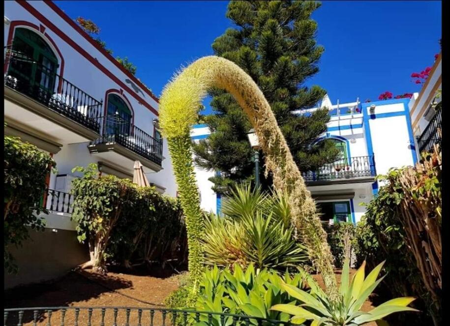 Dailos' Home Puerto De Mogan Bagian luar foto