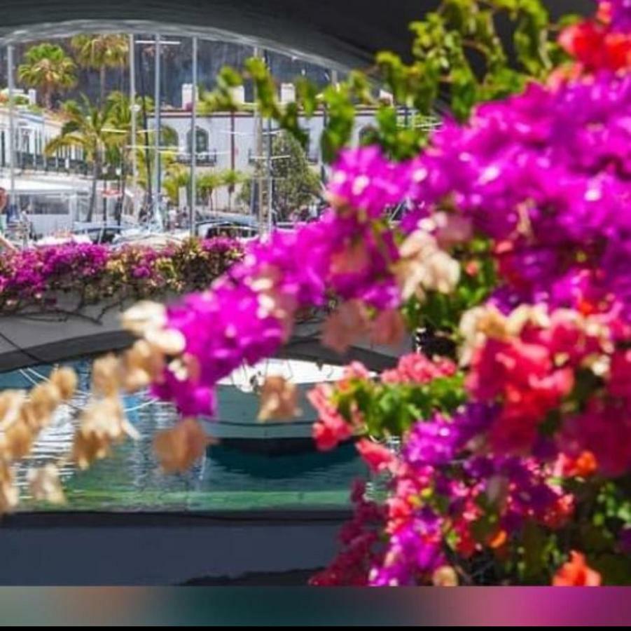 Dailos' Home Puerto De Mogan Bagian luar foto